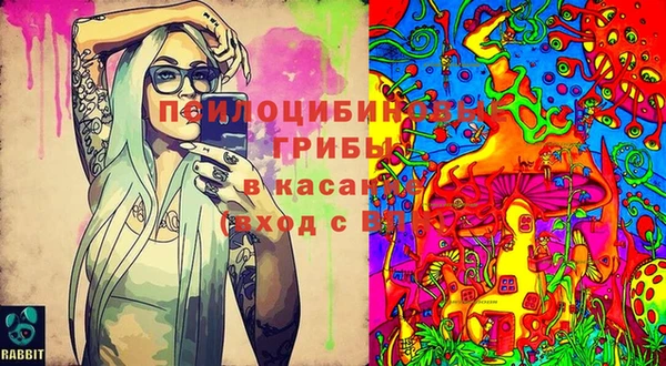 ALPHA-PVP Богородицк