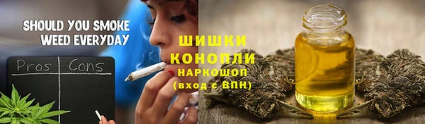 МДПВ Богородск