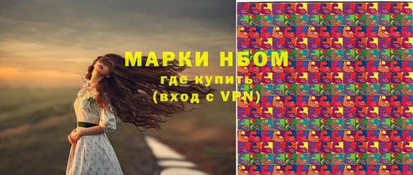 МДПВ Богородск