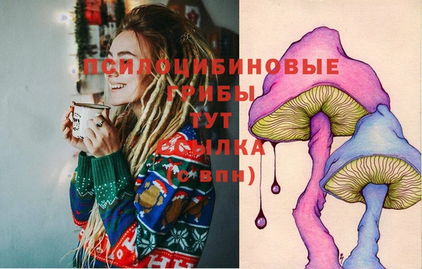 дживик Богданович