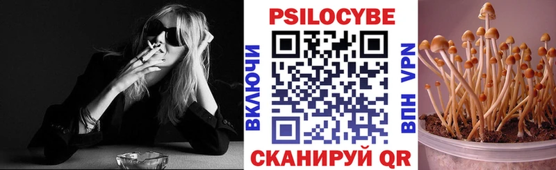 Галлюциногенные грибы мухоморы  магазин продажи наркотиков  Кольчугино 